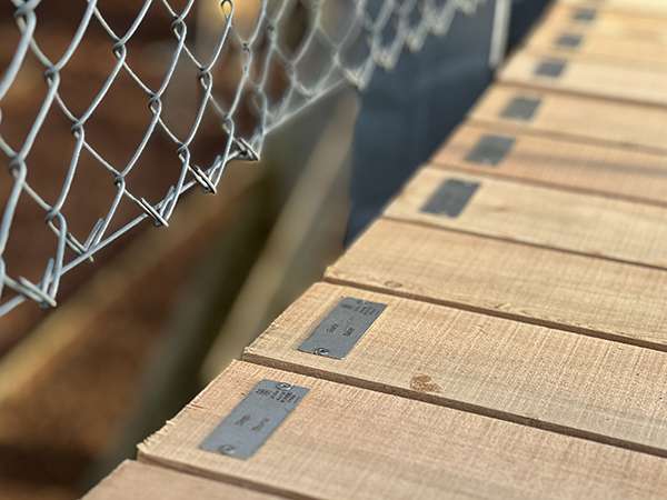 Ihre eigene Bohle auf dem Baumwipfelpfad Ihre eigene Bohle auf dem Baumwipfelpfad