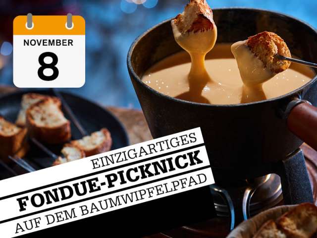 Veranstaltungen Veranstaltungen